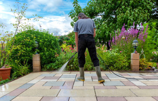 Best Driveway Pressure Washing  in San Miguel, CA